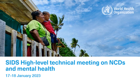 Flyer – SIDS High-level technical meeting on NCDs and mental health event