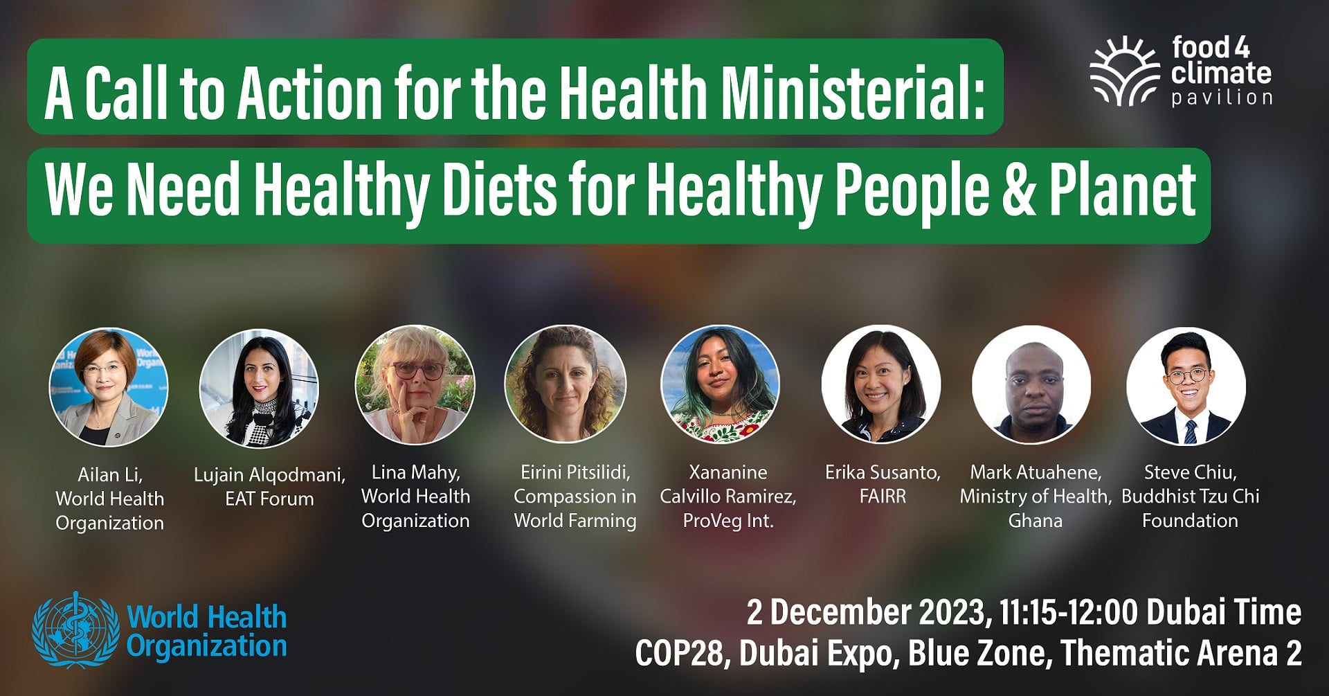 A call to action for the health ministerial: We need healthy diets for healthy people and planet flyer
